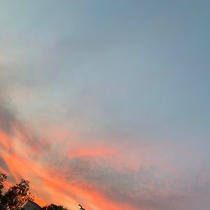 Meet your Posher, Alondra